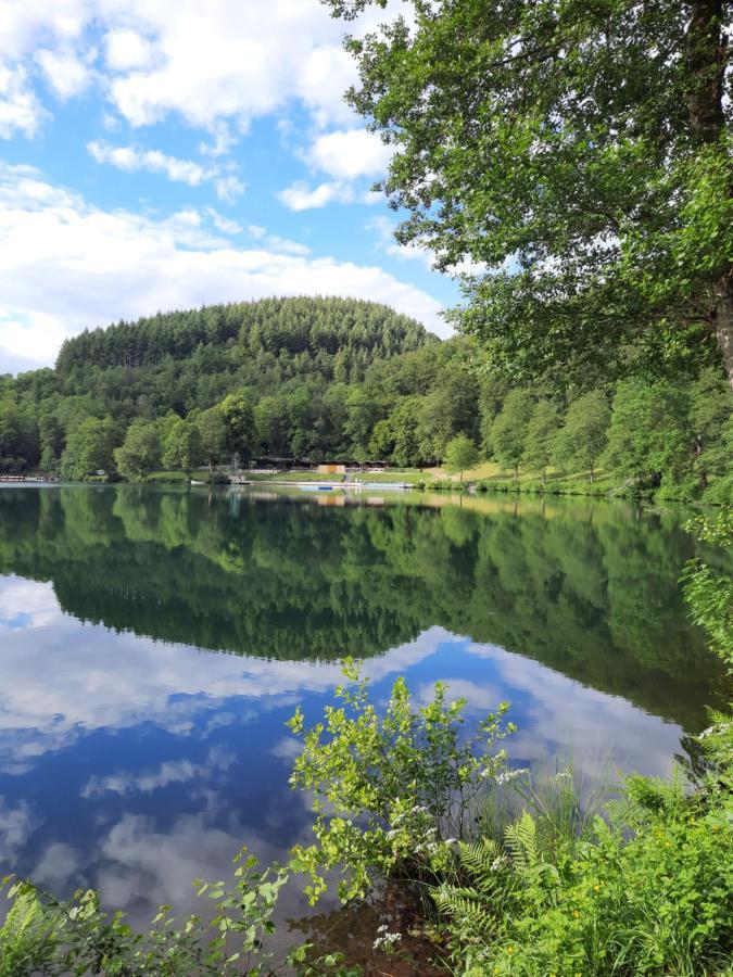 Ferien Am Maar Daun Exterior foto